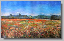 coquelicot provence-penture paysage